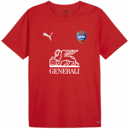 MAILLOT TEAMRISE