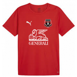 MAILLOT PUMA TEAMRISE Adulte